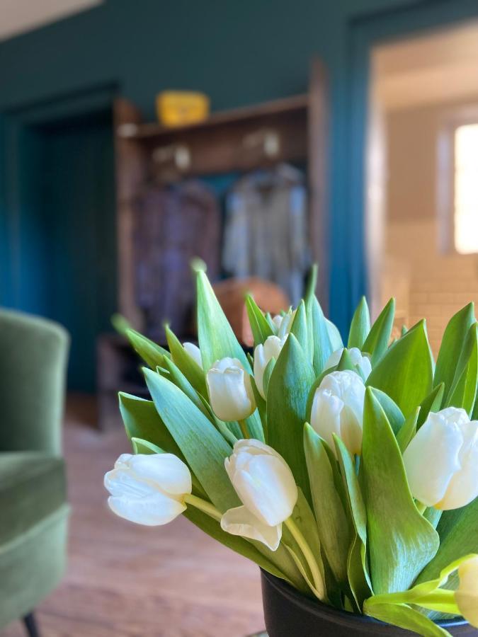 La Tour Yveline Bed & Breakfast Romans-sur-Isere Ngoại thất bức ảnh